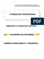 Quimica Inorganica y Organica - Informe 2