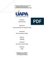 Trabajo Final Neuropsicología 