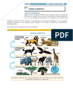 La-Cadena-Alimenticia 3ro Biologia