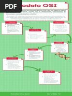 Ronaldo Cruz-Modelo OSI