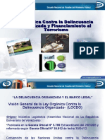 Delicuencia Organizada Powerpoint