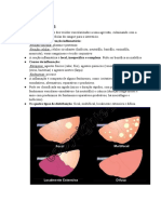 Inflamação Aguda - RESUMO