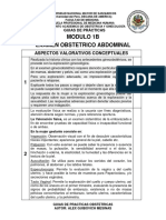 Guias de Practicas Obstetrica Modulo 1b Examen Obstetrico Abdominal