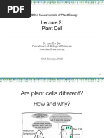 Lecture 2 - Plant Cell