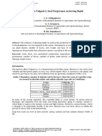 Effect of Beta Vulgaris L Seed Forgiveness On Sowing Depth