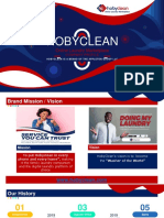 HobyClean - Company Profile