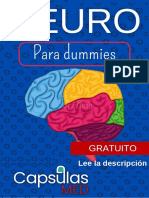 Neuro para Dummies