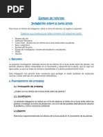 Modelo de Informe de Indagacion