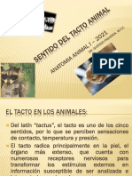 1 Sentido Del Tacto Animal