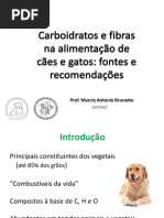 Aula 2 - Carboidratos e Fibras para Cães e Gatos (Prof Marcio)