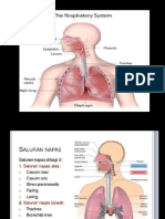 Influenza p5, p6