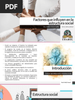 Factores Que Influyen en La Estructura Social