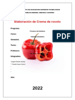 Informe de Crema de Rocoto