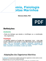 Anatomia, Fisiologia E Habitas Marinhos: Manecas Baloi, PHD