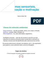 Sistemas Sensoriais, Comunicação E Motivação: Manecas Baloi, PHD