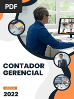 Informe Del Contador Gerente - Grupo 3