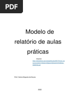 Modelo de Relatório de Aulas Práticas