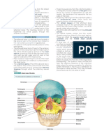 Skeletal System5