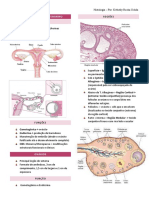 Sistema Reprodutor Feminino - Resumo Monitoria