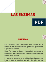 ENZIMAS