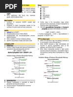 Pentose Phosphate Pathway