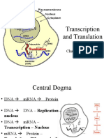 AP Bio CH 14 Gene Expression