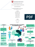 Consideraciones Sobre La Salud Mental en La Pandemia de Covid - Organizador