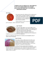 Agar o Caldo Nutritivo Que Favorecen El Crecimiento Microbiano en Los Laboratorios de Analisis Microbiologicos para Identificar o Cuantificar Microorganismos