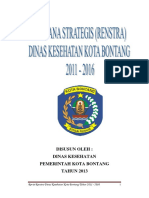 Renstra Dinas Kesehatan 2011-2016