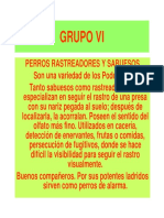 Razas Perros Grupo Vi A X