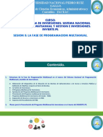 4 Sesion Ii Fase Pmi