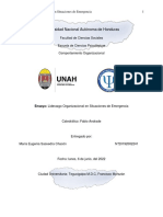 Liderazgo Organizacional en Situaciones de Emergencia