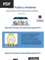 Salud Publica y Ambiente: Atención Primaria en Salud y Atención Primaria Ambiental