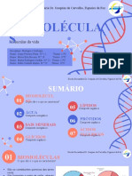 Biomoléculas 11 C