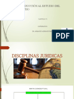 Sesion Iv. Disciplinas Juridicas.