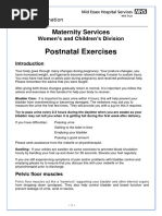 MEHT130379 Postnatal Exercises 2.0