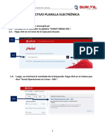 Instructivo Planilla Electrónica SUNAFIL