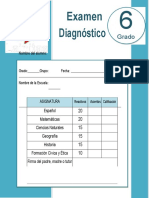 ??6° Diagnostico Lainitas