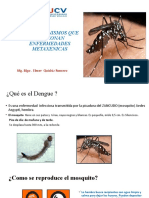 Clase 8 Virus y Bacterias Que Causan Infecciones Arbovirus