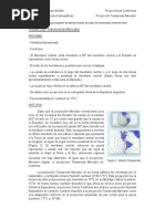 Proyección Transversa Mercator