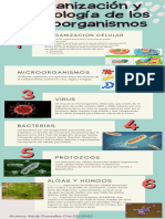 Infografía Sobre La Organizacion y Morfologia de Los Microorganismos.