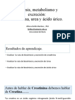 Creatinina, Urea y Ácido Urico 2022 I Prsencial