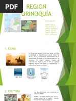 Region Orinoquia