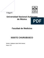 Modelo Hegemónico, Modelo Alternativo Subordinado, Modelo de Autoatención. Caracteres Estructurales