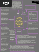 Nia - 501 Mapa Conceptual