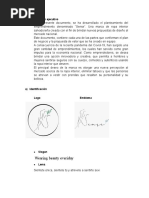 Trabajo Final Ropa Interior