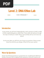 L2 - DNA KNex Lab