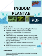 Kingdom Plantae