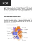 Infas Ci Cardio Vasculary Syst 2022