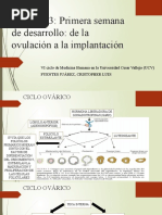 Capítulo 3 Primera Semana de Desarrollo de La Ovulación A La Implantación